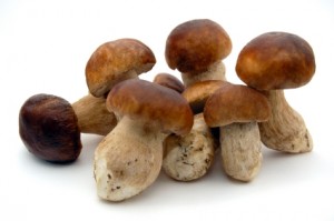 food-porcini-mushrooms