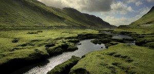 Spring-in-Scotland-702x336